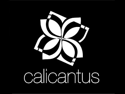 Logo Calicantus Space